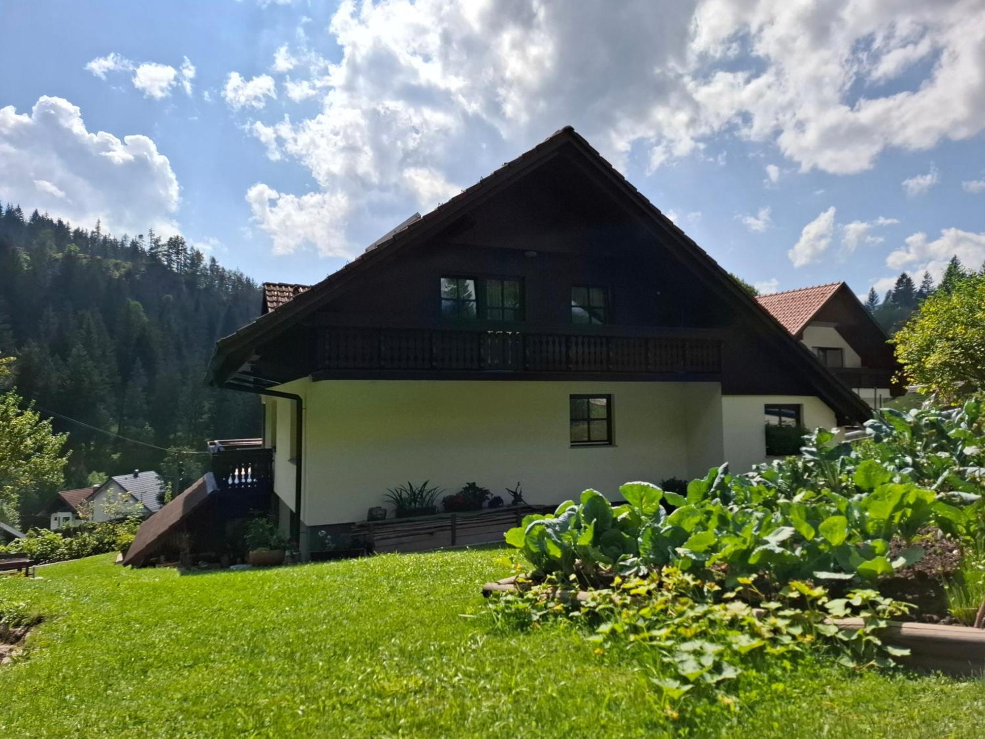 Apartma Cvrsta Trojka Есенице Экстерьер фото